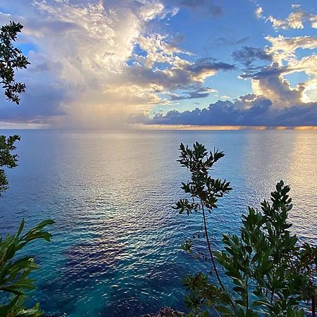 Oceanfront Condo W/ Free Parking + High Speed Wifi Negril Dış mekan fotoğraf
