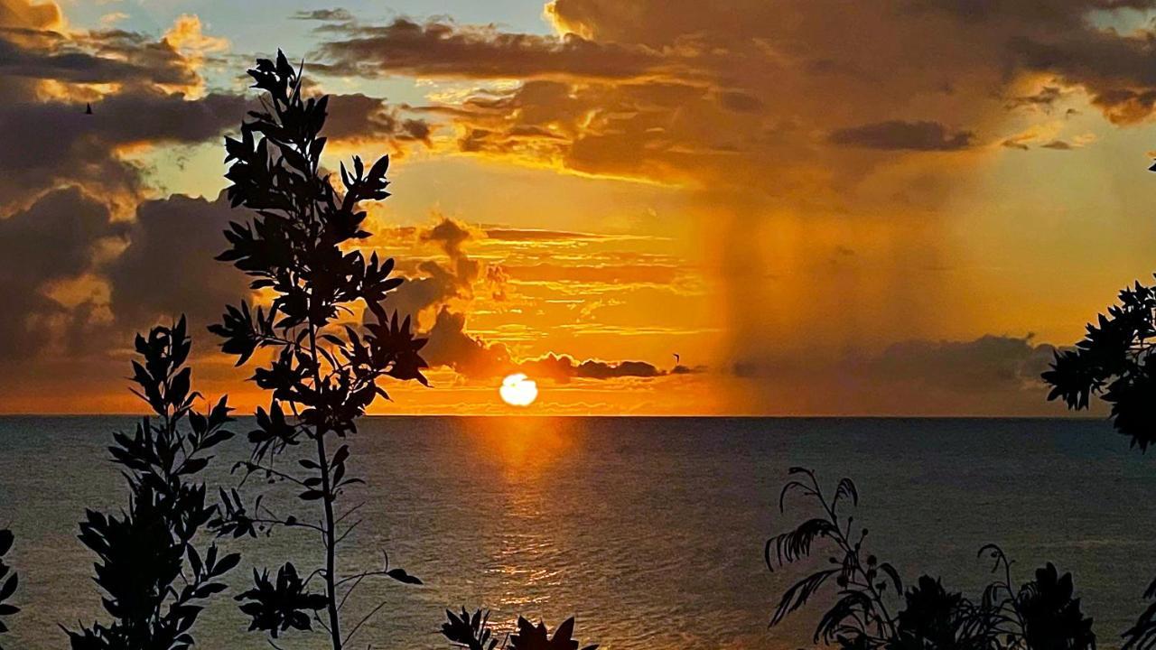 Oceanfront Condo W/ Free Parking + High Speed Wifi Negril Dış mekan fotoğraf