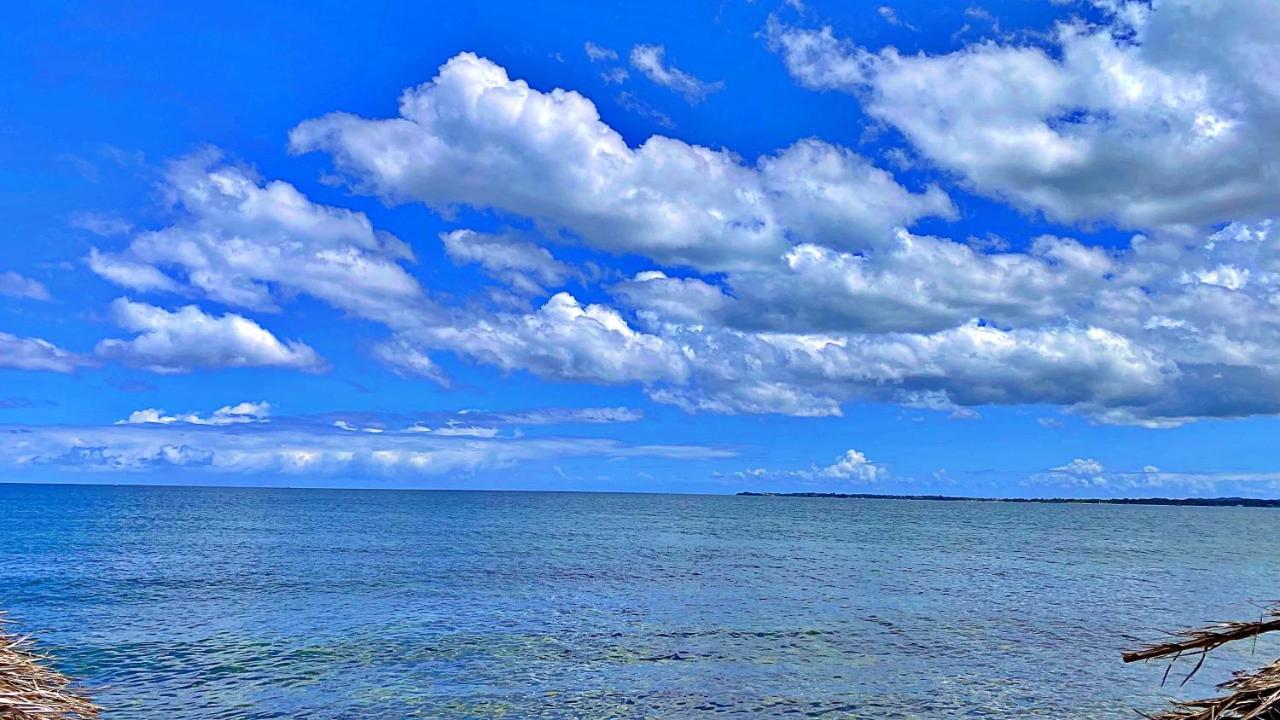 Oceanfront Condo W/ Free Parking + High Speed Wifi Negril Dış mekan fotoğraf